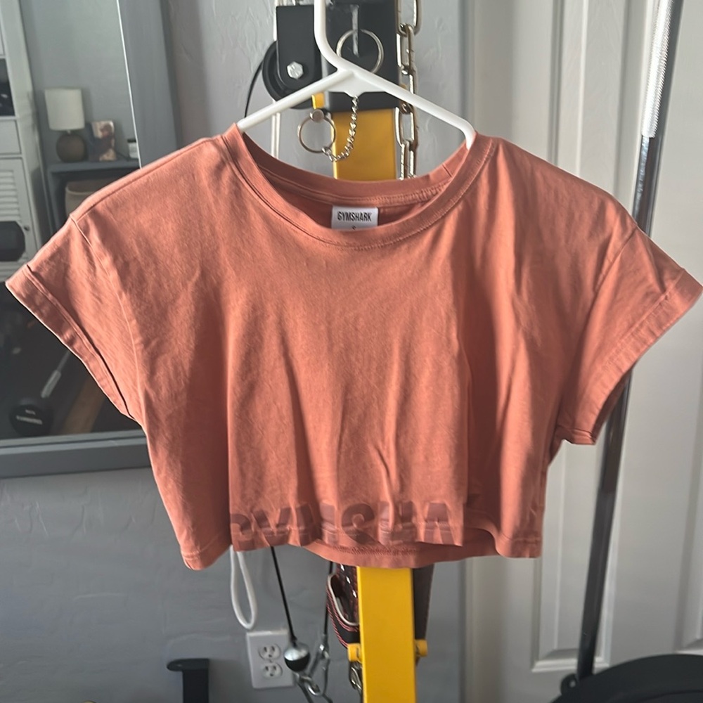 Gymshark Cropped Fraction Tee